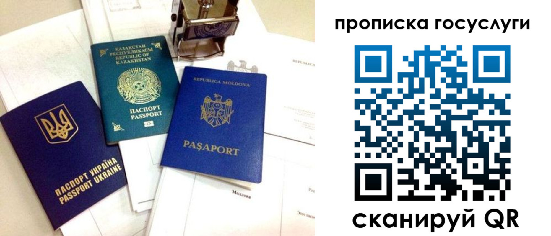 найти адрес прописки в Щиграх